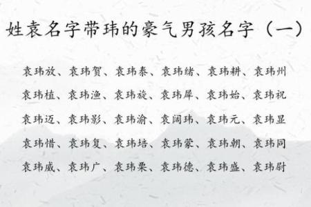 选择洛阳起名公司，为您的家庭取个吉祥名字