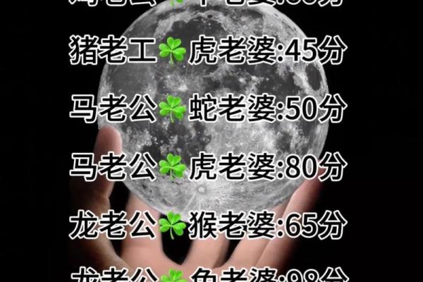 免费八字合婚分析，揭示你们的婚姻契合度