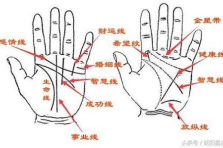 手相主线解读：如何通过掌纹预测人生走势