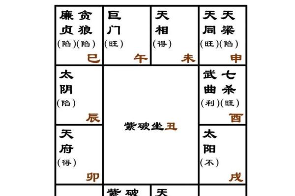 紫薇排盘免费查询：详细分析你的星座运势与命运走向