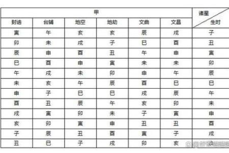 紫微斗数排盘软件下载及使用技巧揭秘