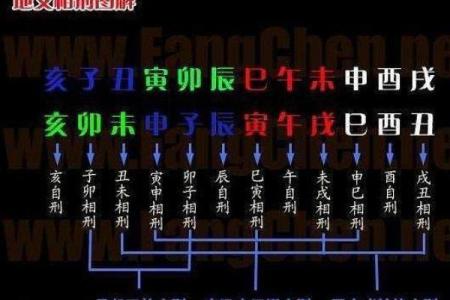 八字命理是否能揭示曾经堕胎经历的真相