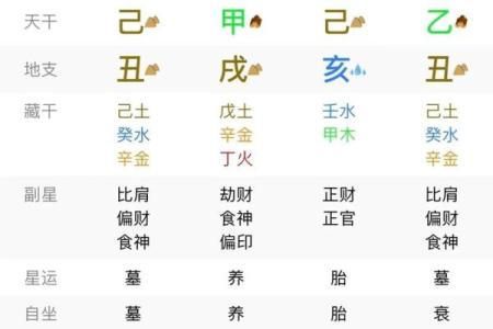 解析己土命：五行八字中的土性代表