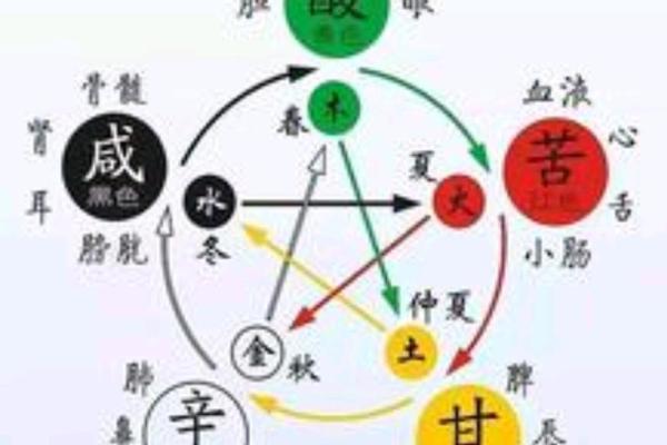 夏字五行解析：属于什么元素及其文化意义