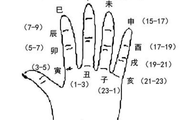 鹏字五行属性解析及其命理影响