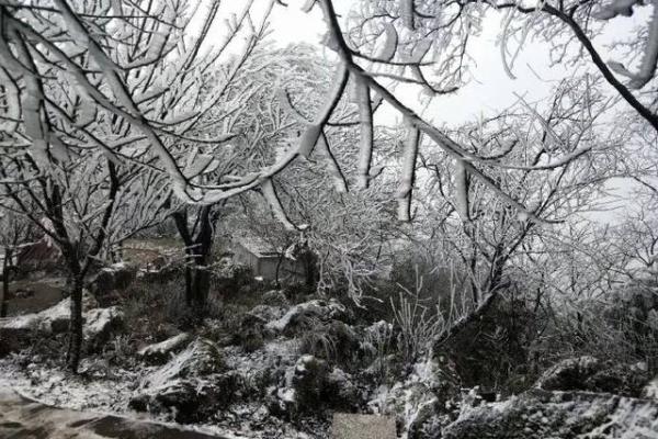 下雪天结婚能带来好运吗？风水角度解答