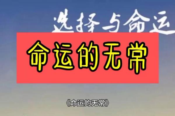 从贼命看人生命运的无常与挣扎