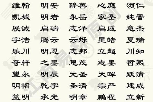 如何为刘姓属鸡男宝宝选个寓意深远的名字