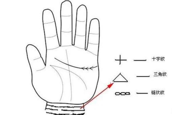 手相智慧线解析全图详解助你洞察未来