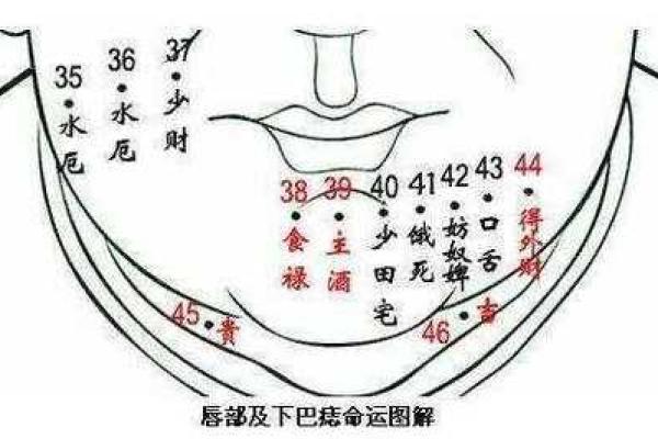 风水学中的下巴跳动象征什么？解读身体与运势的联系