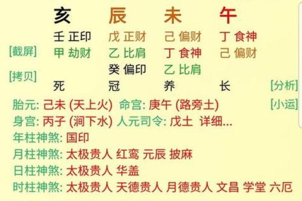 探索四柱排盘网：精准解读八字命理与人生走向