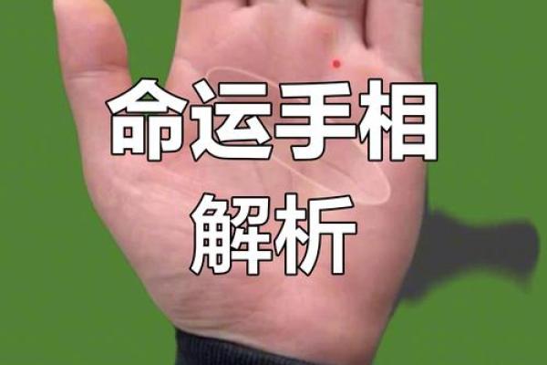 爪字手相解析：揭示你命运中的关键线索