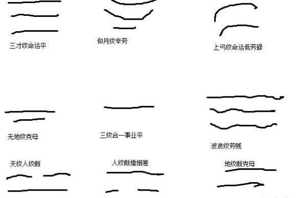 面相差与事业发展的关联分析