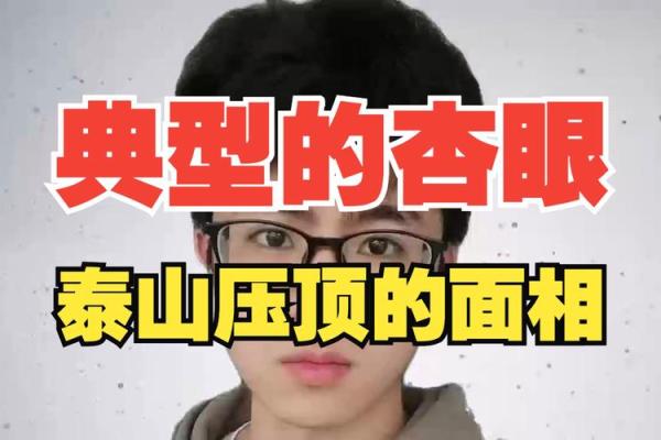 解密杏眼面相：情感丰富与心思细腻的标志