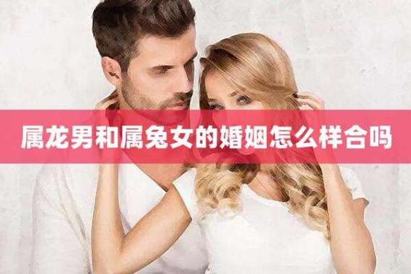 属龙和属兔的人适合做情侣吗？了解两者的婚配情况