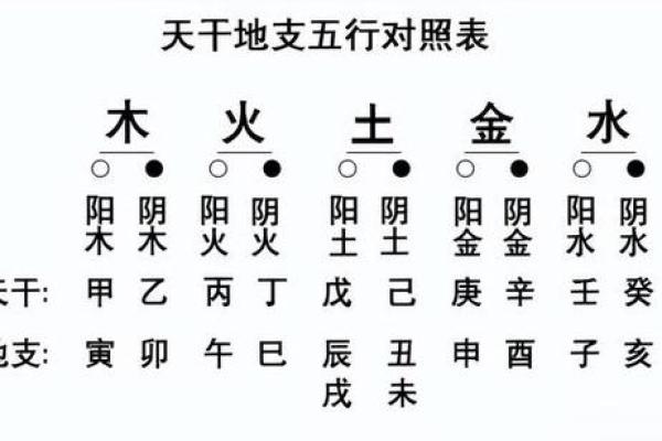 龙易八字：探索八字命理中的深层奥秘与应用