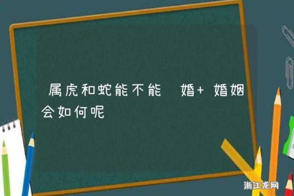 探讨女蛇与男虎婚姻：如何化解性格差异