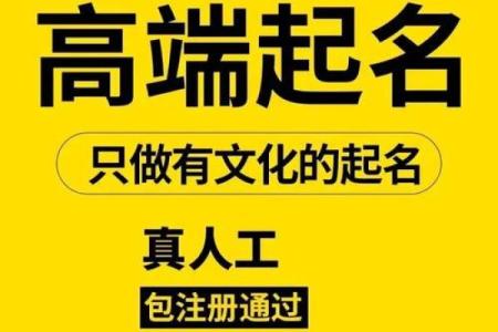 如何选择合适的公司起名格式以提升品牌影响力