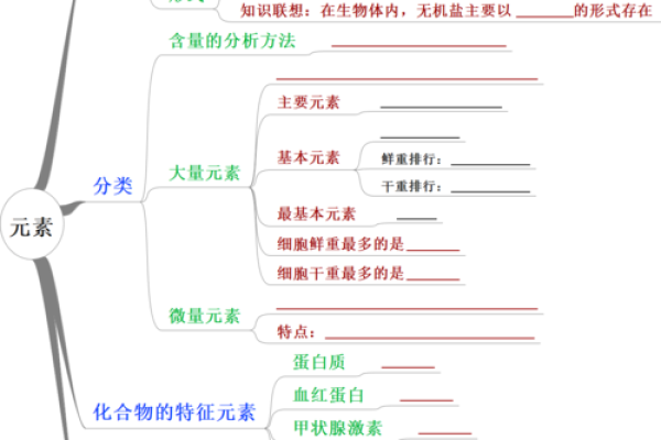 天干两合一的奥秘与应用解析