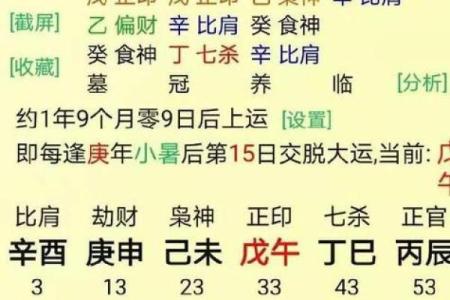 八字排盘批命运解析：如何通过八字看透未来运势