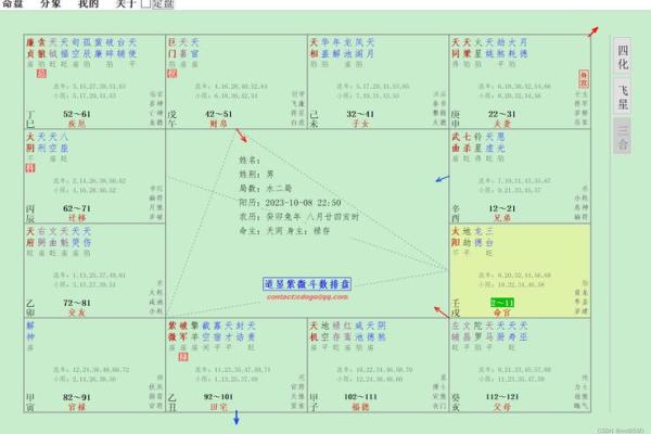 如何选择适合的紫微斗数排盘软件进行精准分析