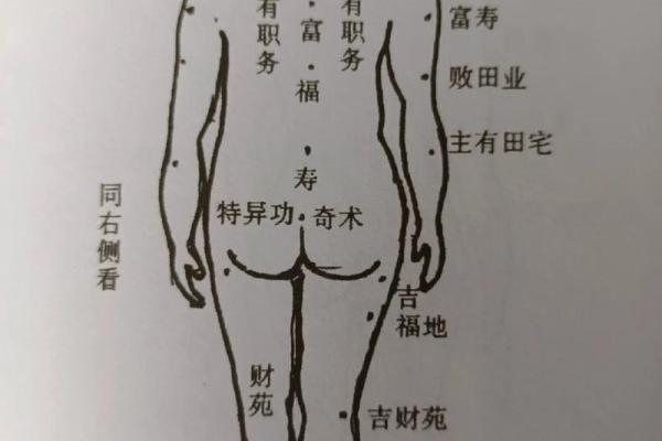 男人面相中能带来财富的痣位置解析