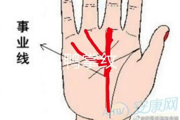 爪字手相特点与运势关系全解