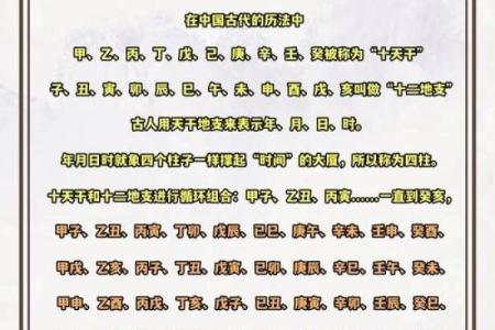 天干地支年、月、日对照表完整解析与应用指南