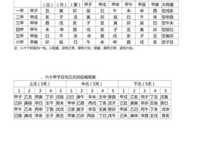 时家奇门排盘软件免费下载与使用指南