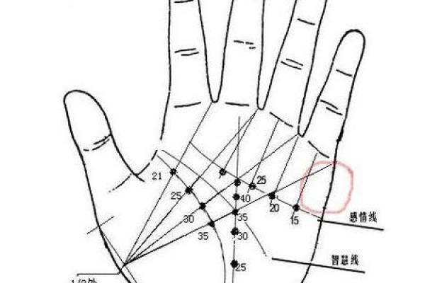孕妇手相解析：掌中暗示的母婴关系