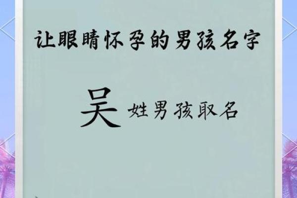 吴宝宝男孩名字大全与选名指南