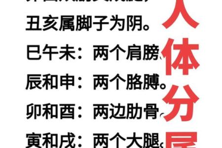 八字命理如何揭示寿命长短的奥秘