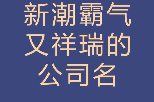 免费起名打分系统：为您的公司选一个完美名字