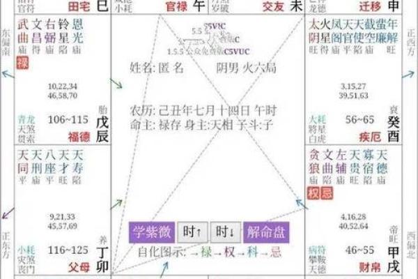 命理中的将星：揭示事业与权力的秘密