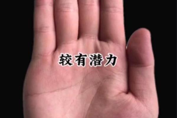 手相破解：通过掌纹洞察个人潜力与挑战