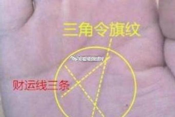 男人手相财运线的象征与意义