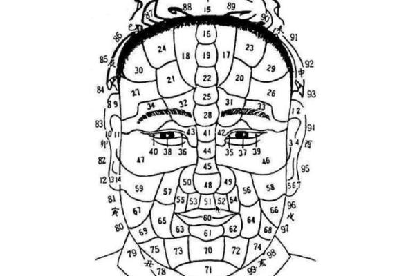 面相学入门：从面容细节解读命运与性格