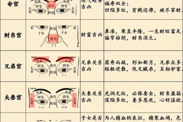 面相学入门：从面容细节解读命运与性格