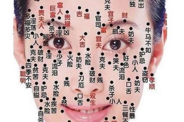 高眉骨面相分析：从容颜看人生运势