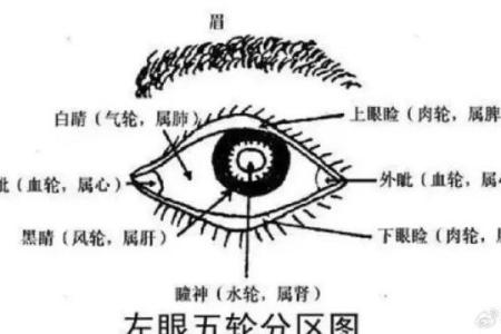 桃花眼面相特点与运势分析：如何影响你的爱情生活