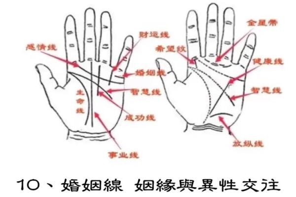 探秘手相左右手的不同含义