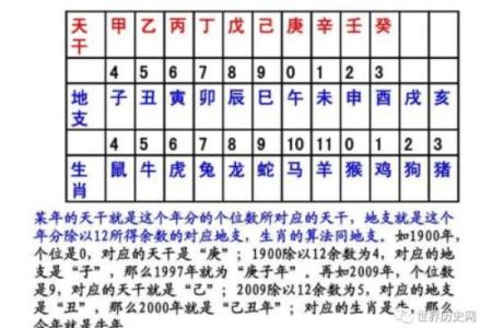 天干地支解析：辛酉年如何影响命运与运势