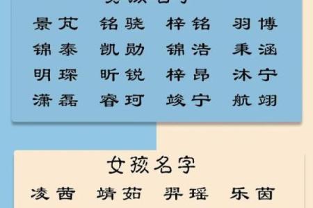 专业宝宝起名公司助力孩子未来的名字选择