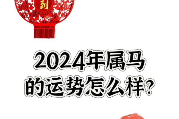 属马人今日运势：如何把握机遇化解困境