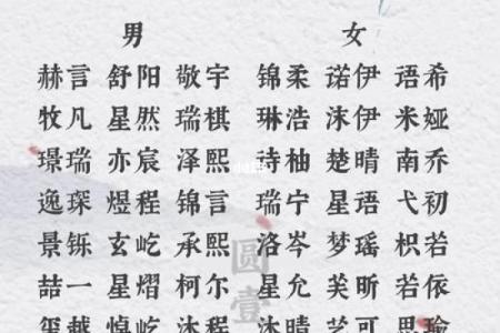 如何为鸡年宝宝选择寓意吉祥的名字