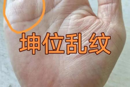 乱纹手相的意义与解读：从手掌看人生运势