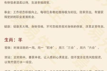 申姓鸡年宝宝取名推荐与寓意解析