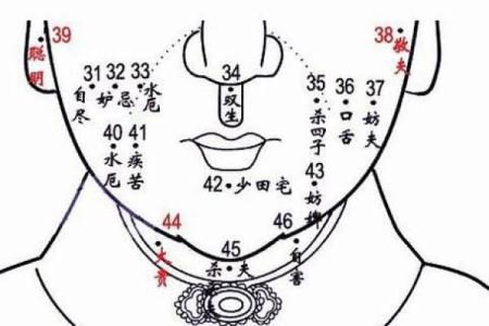 你的痣相花揭示了哪些人生密码