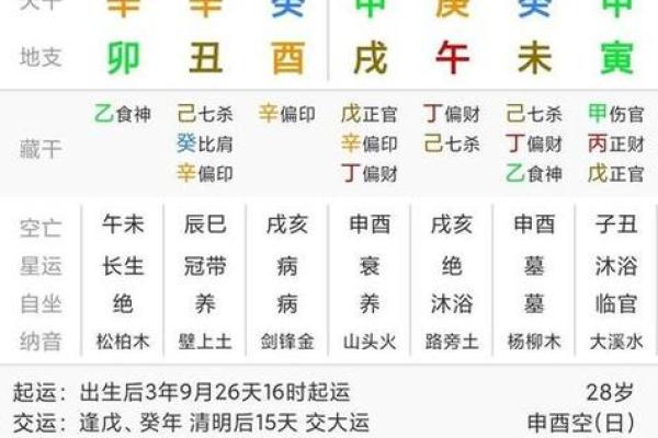 天干伤官与地支伤官的差异与相互影响解析