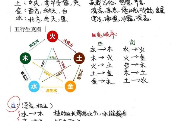 地支五行对照表解析与应用指南